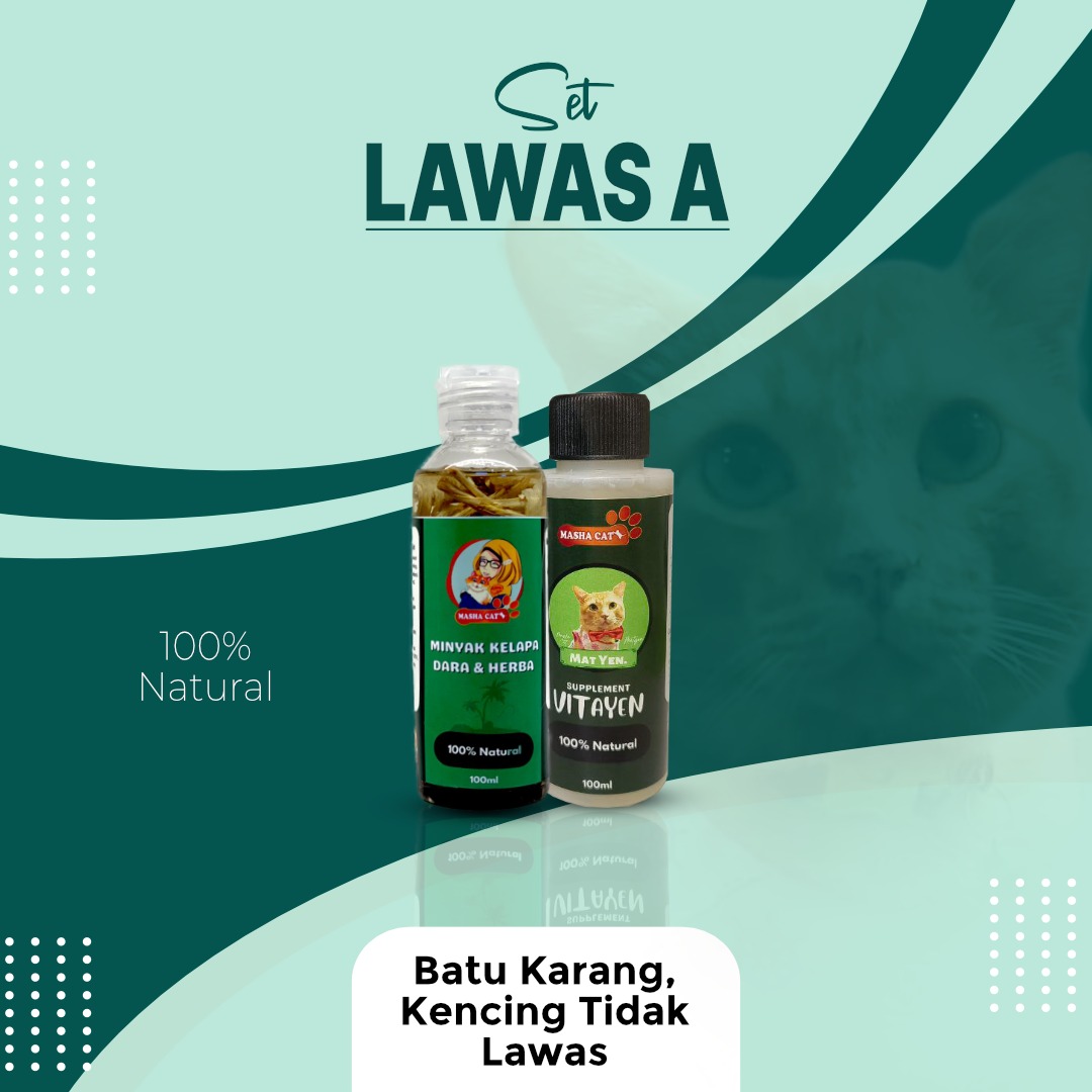 WhatsApp Image 2023-12-04 at 18.25.18